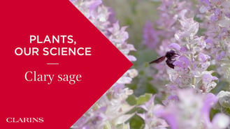Calm-Essentiel skin care with clary sage extract | Clarins