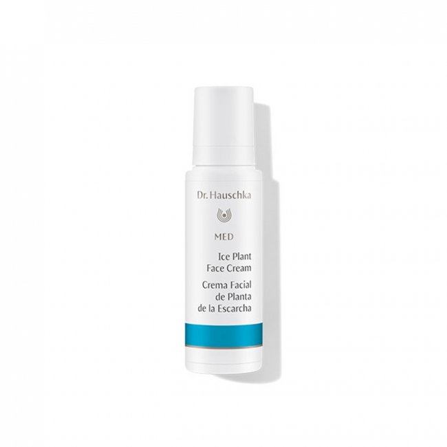 dr hauschka face cream