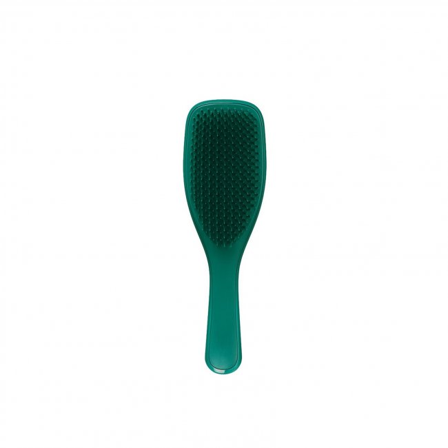 Buy Tangle Teezer Wet Detangler · Singapore
