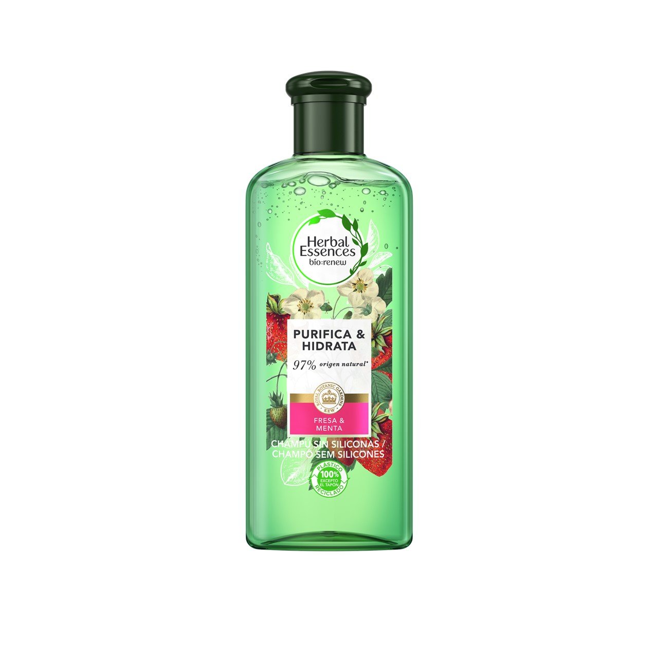 Demonstrere typisk Jeg har en engelskundervisning Buy Herbal Essences Bio Renew Purify Strawberry & Mint Shampoo 400ml  (13.53fl oz) · USA