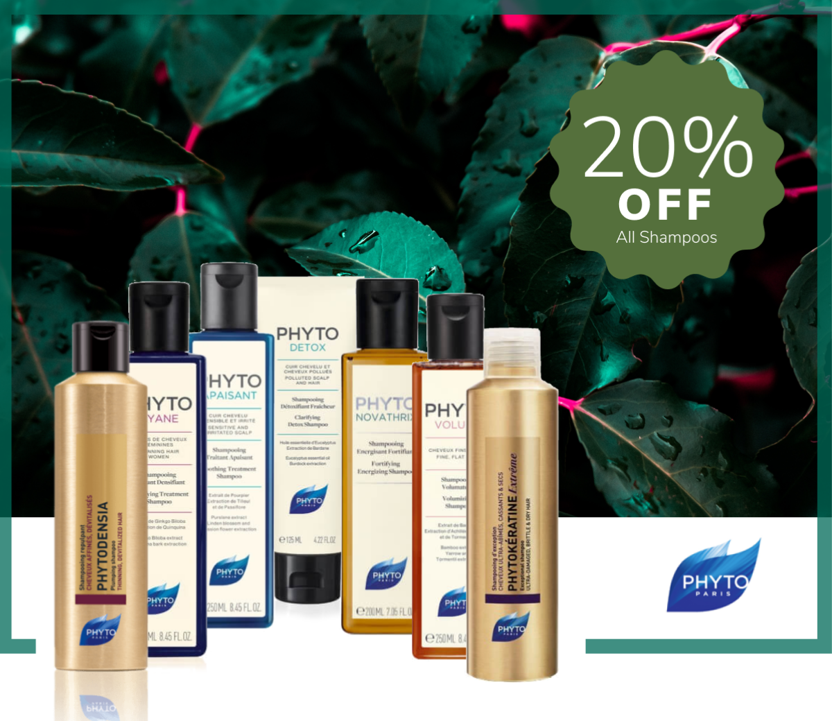 Phyto Shampoos Phyto Shampoos